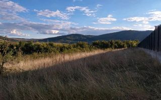 Teren de Vanzare 25AR Crainimat - Poză 1