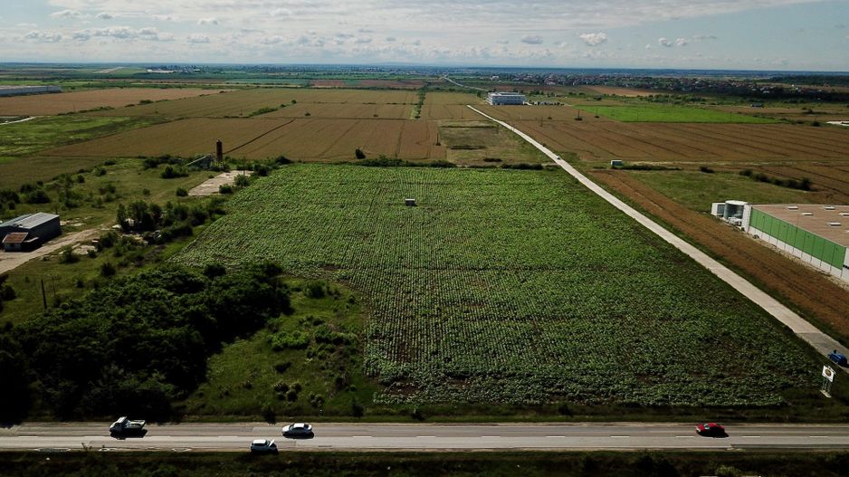 Parcele teren industrial cu PUZ - 3272 mp, Giarmata - Poză 5