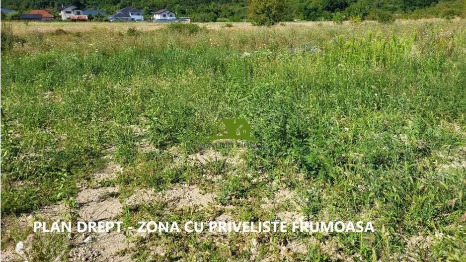 Teren intravilan 1.100 mp – Goranu 3km Rm.VL. acces facil +utilități - Poză 2