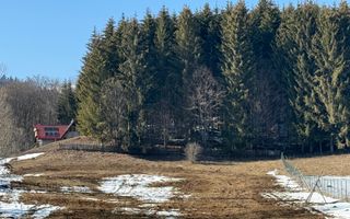 Teren intravilan 4521mp lângă pădure-valea Doftanei -Calea Brasovului - Poză 4