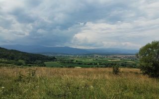 Teren Intravilan | 372 Mp | Bungard | Selimbar - Poză 2