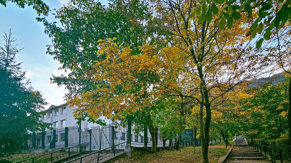 La poalele Tâmpei,  având în apropiere parc, magazine, stație autobuz - Poză 3