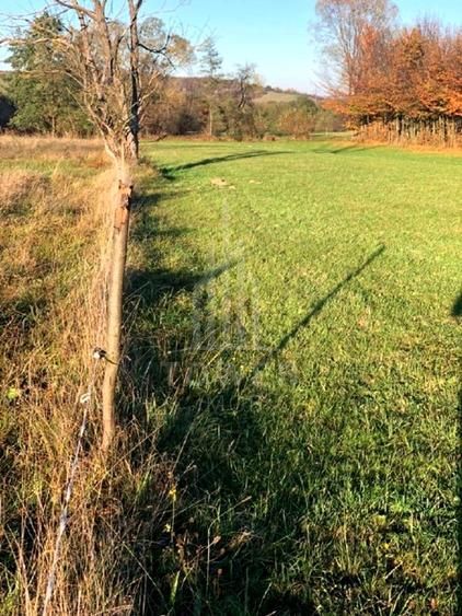 Teren intravilan in cartier Tocile comuna Sadu jud. Sibiu - Poză 8