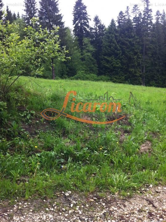 Teren intravilan Cotul Donului,pretabil Hotel/pensiune. - Poză 13