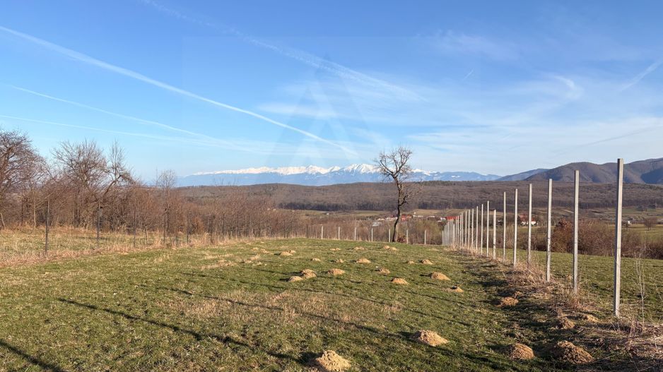 Teren intravilan 809 mp de vânzare – Tropinii Noi-Sibiu - Poză 5