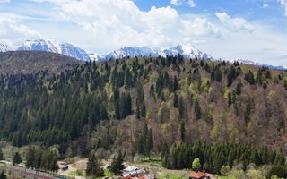 Pensiune exclusivistă Piscină încălzită în Predeal - Afacere la cheie - Poză 19
