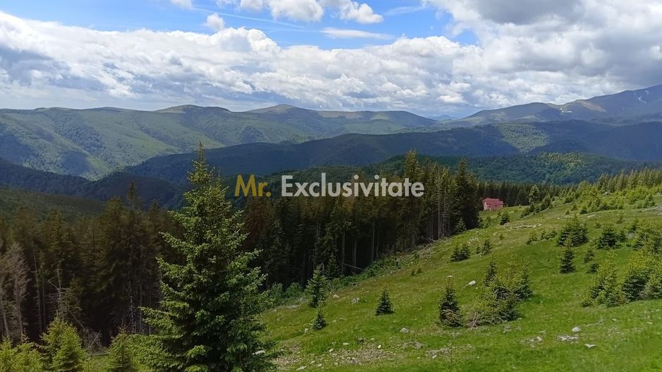 Cabană P+M de vânzare în Rânca - Poză 26
