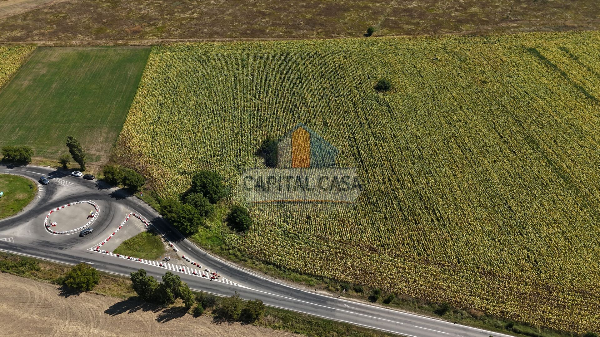 Teren ideal pentru Hala sau Depozit in Berceni, Prahova - Poză 3