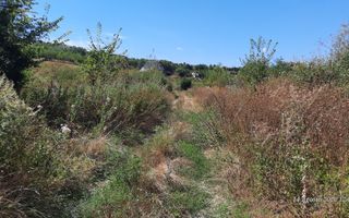 Teren 10.000 mp în Tomesti, zona Vladiceni – oportunitate de investiție - Poză 2