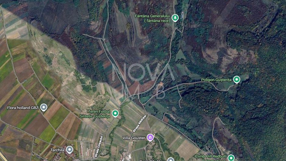 Teren extravilan - 8000 mp, Gusterita - Poză 5