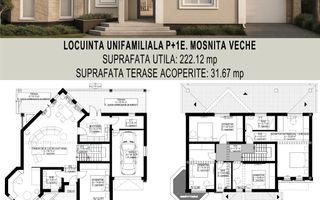 Casa individuala, 222mp, 32mp Terasa, P+E, Mosnita Veche, Comision 0% - Poză 8