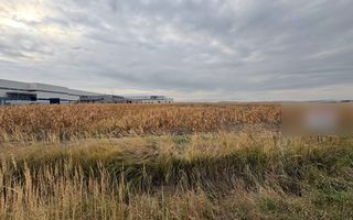 Teren de vanzare I intravilan I 20800 mp I zona vest - Poză 1
