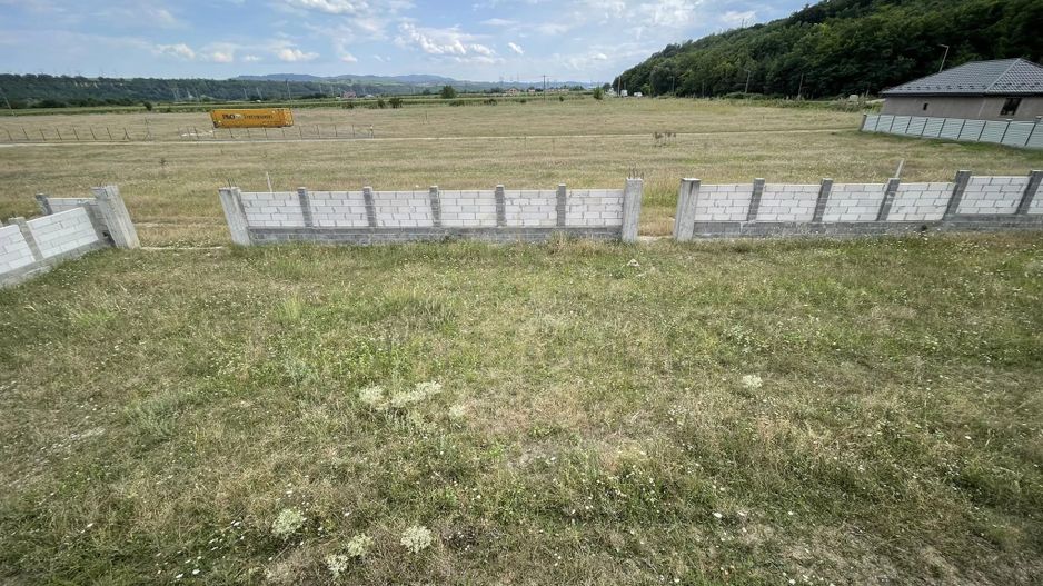 Casa Cartier Andrasesti - la rosu - Poză 3