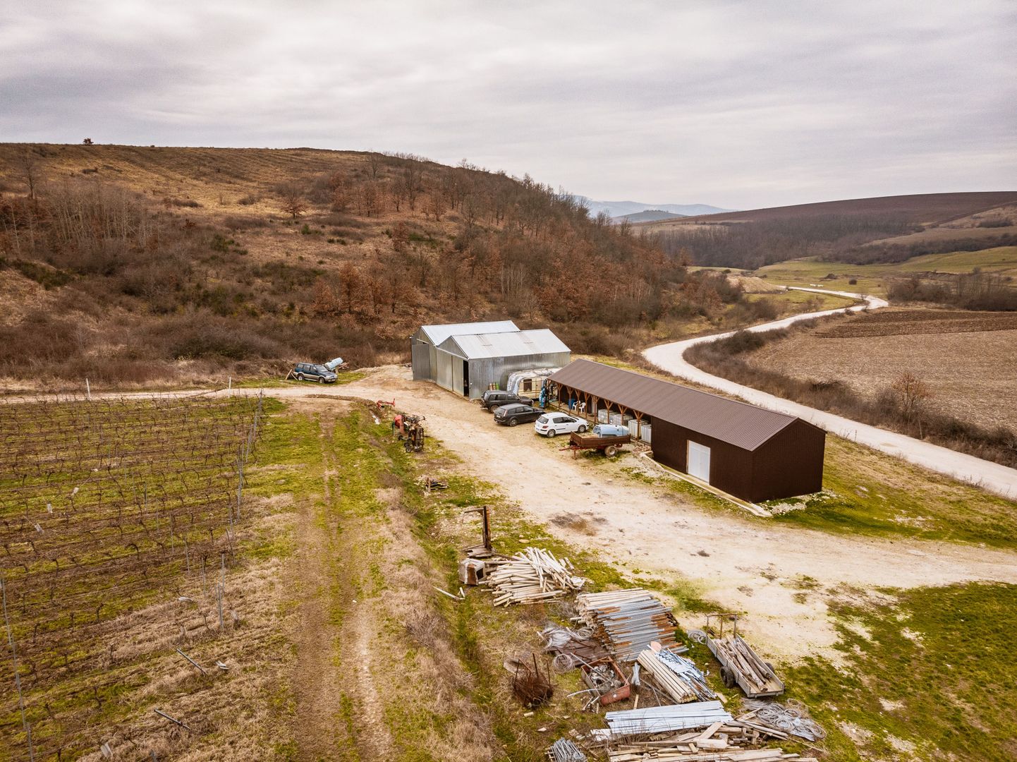 Vie de 115 Hectare în satul Dud, județul Arad - Poză 8