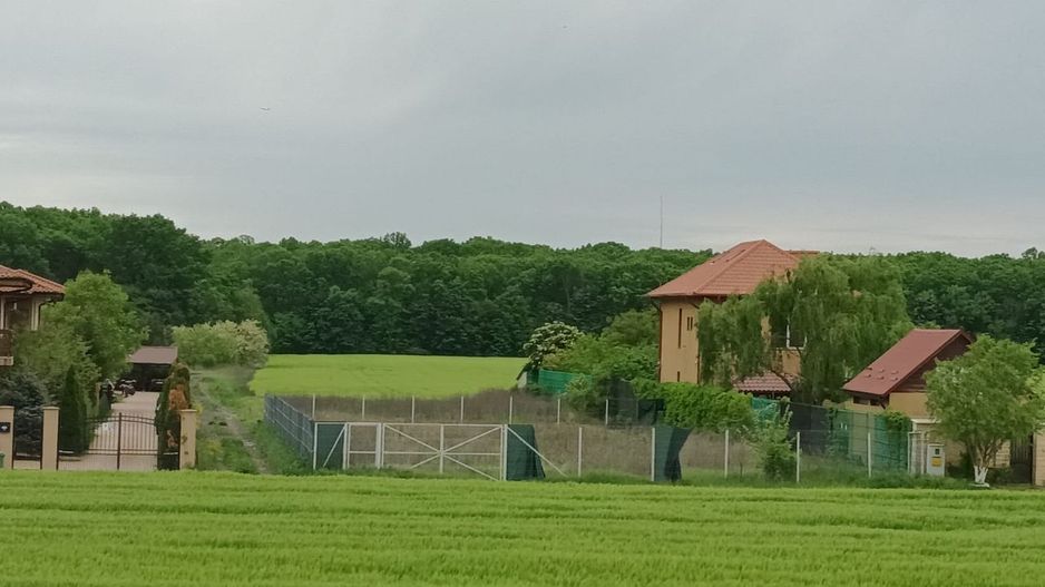 Casa de vânzare Ciofliceni com.Snagov - Poză 5