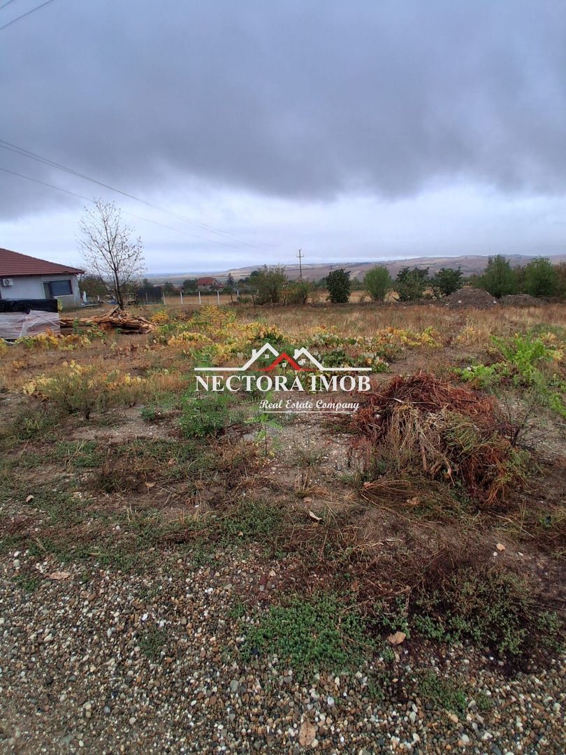 NECTORA IMOB-Teren Intravilan PALEU, 676 mp, Autorizatie Constructie - Poză 1