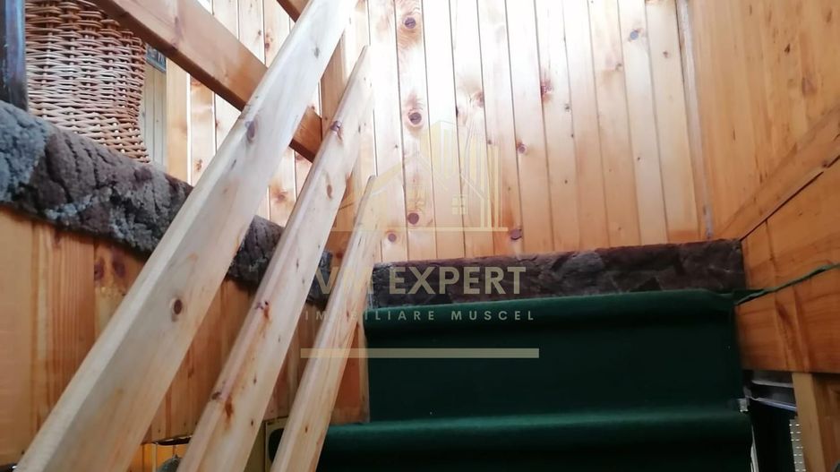 CASA 4 CAMERE, TEREN 290 MP, RUCAR, ARGES - Poză 11