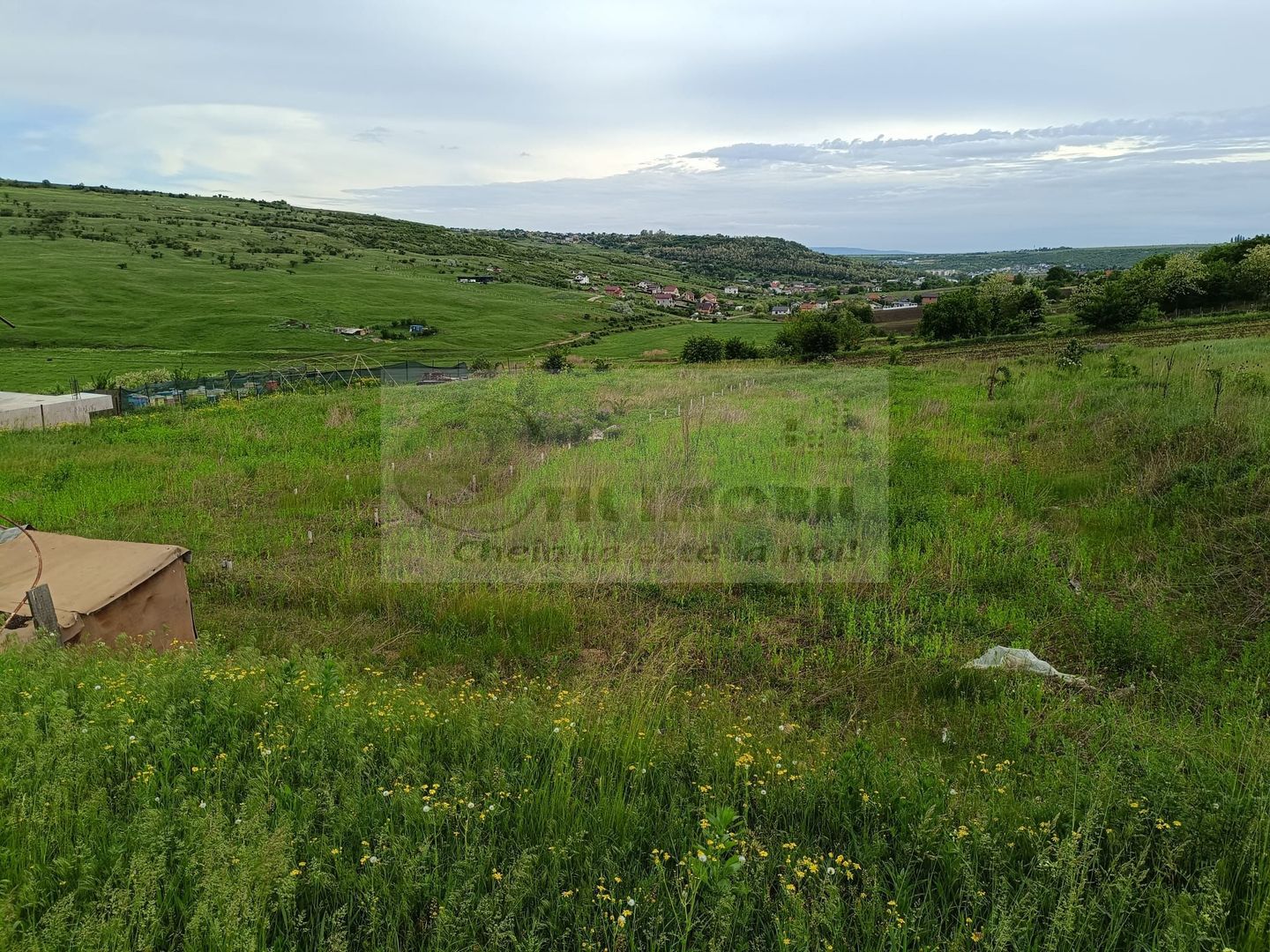 Teren Dorobant 1212mp - Poză 5