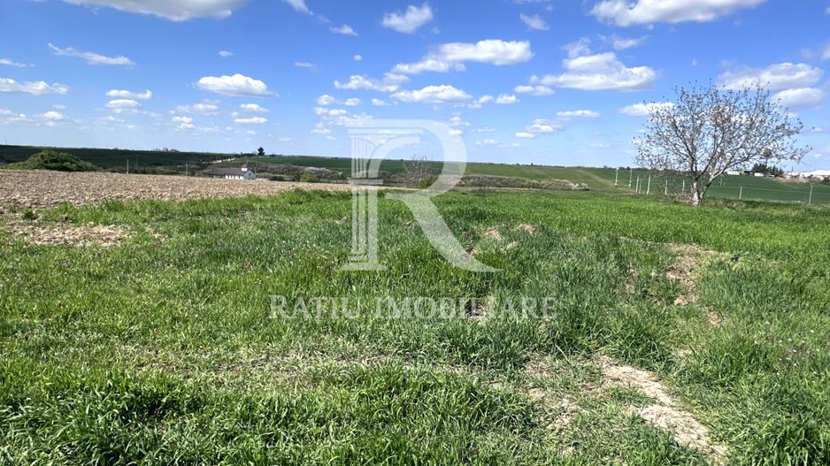 Teren intravilan | Leș | Bihor - Poză 4