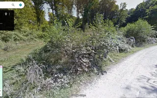 Investitie! | Teren de vanzare pe Valea Avrigului – langa Poiana Neamt - Poză 12
