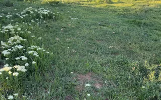 ⭐  Teren de 2.700 mp cu front generos – Ocazie în Oncea - Poză 22