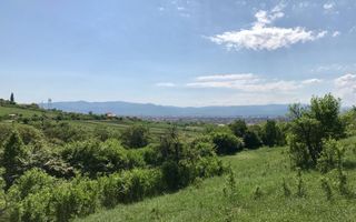 Teren extravilan - 8000 mp, Gusterita - Poză 1