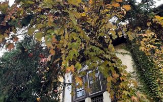 Casa Cotroceni | S+P+ET+POD | teren 188 mp - Poză 2