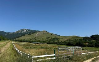 Teren de vanzare – Rimetea, Alba | 9000 mp - Poză 3
