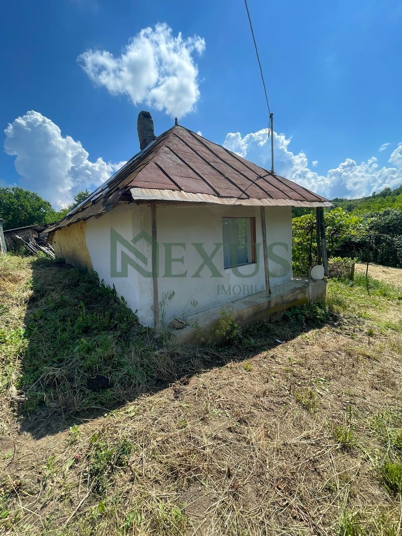 Casă bătrânească cu teren de 3.200 mp în Hertioana de Jos, jud.Bacău - Poză 13