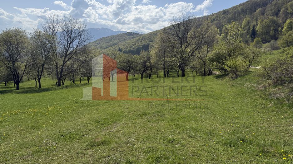 Terenuri Bran - Predelut  Priveliște către Bucegi și Postăvaru - Poză 1