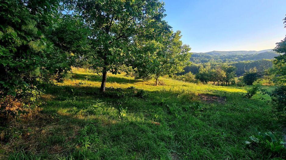 Teren Intravilan 3250 mp / Casa batraneasca / Pausesti Maglasi - Poză 2