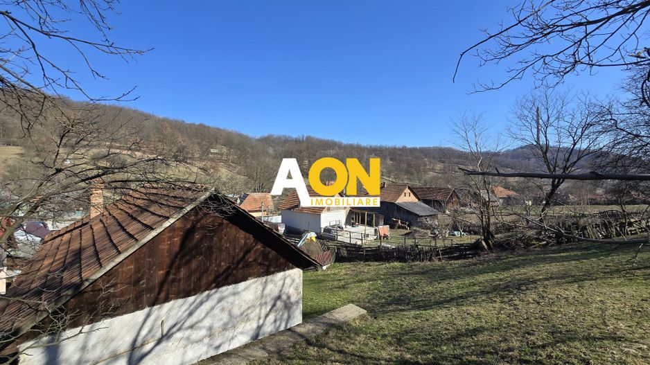 Casa de Vacanta 2 Camere, Strada Morilor Zlatna - Poză 9