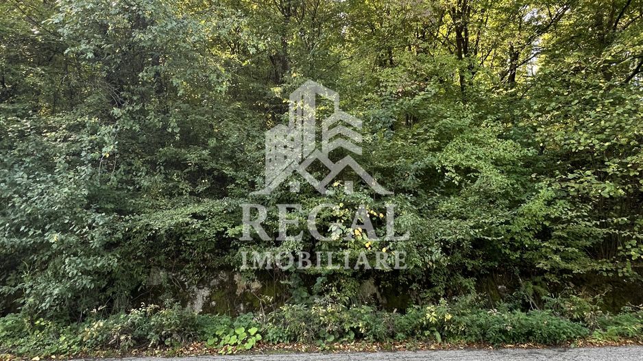 Teren extravilan de vânzare – Lacul Cinciș - Poză 5