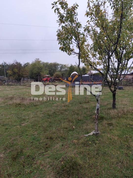 VIla Teisani si 11250 mp teren - Poză 8