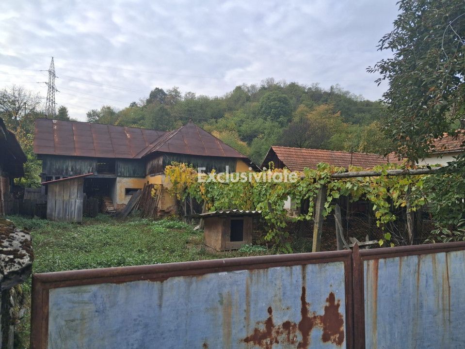 Casă tradițională cu teren generos – Borosteni, Peștișani, jud. Gorj - Poză 10