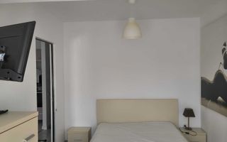 Apartament 2 camere de inchiriat, Podu de Fier, Iasi - Poză 4