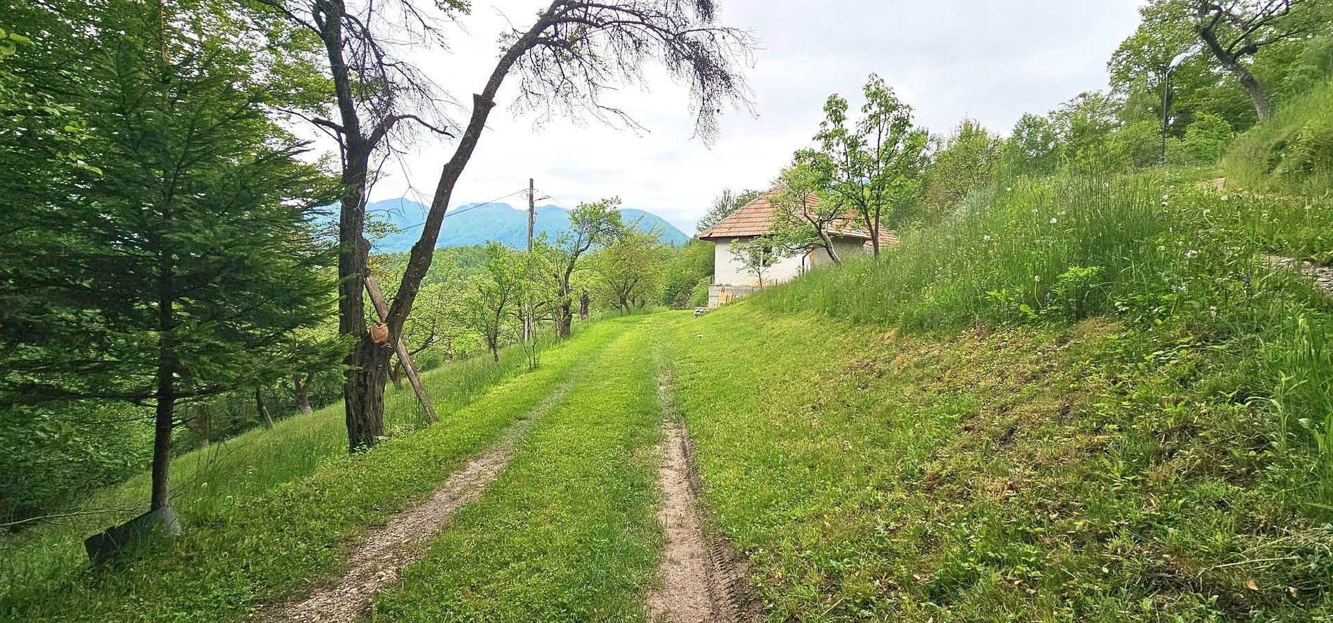 Domeniu Premium 1.7 Ha Intravilan Zărnești | Lizieră Pădure | Ideal Resort - Poză 11