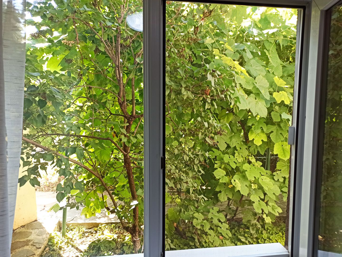 vila indiv+1198mp teren/pe DN4(sosBucuresti) in Frumusani/jud.Calarasi - Poză 96