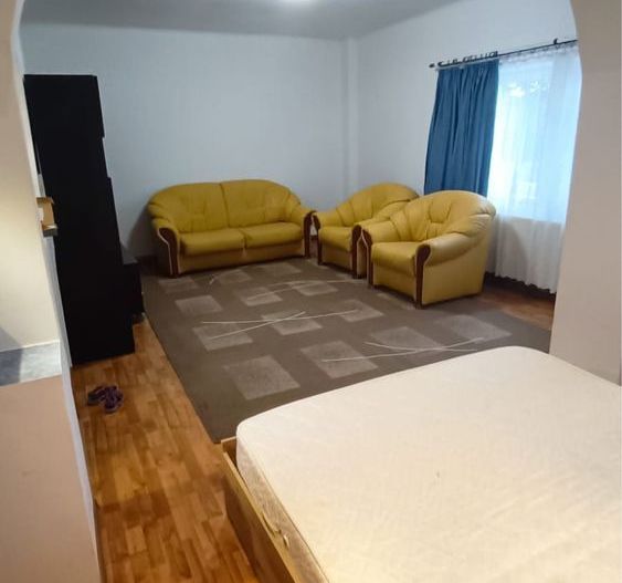 Studio 50 mp, parter, centrală proprie, zonă liniștită, Grigorescu, pet friendly - Poză 1