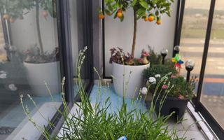 Apartament 3 Camere | Decomandat | 2 Balcoane | Doamna Stanca - Poză 5