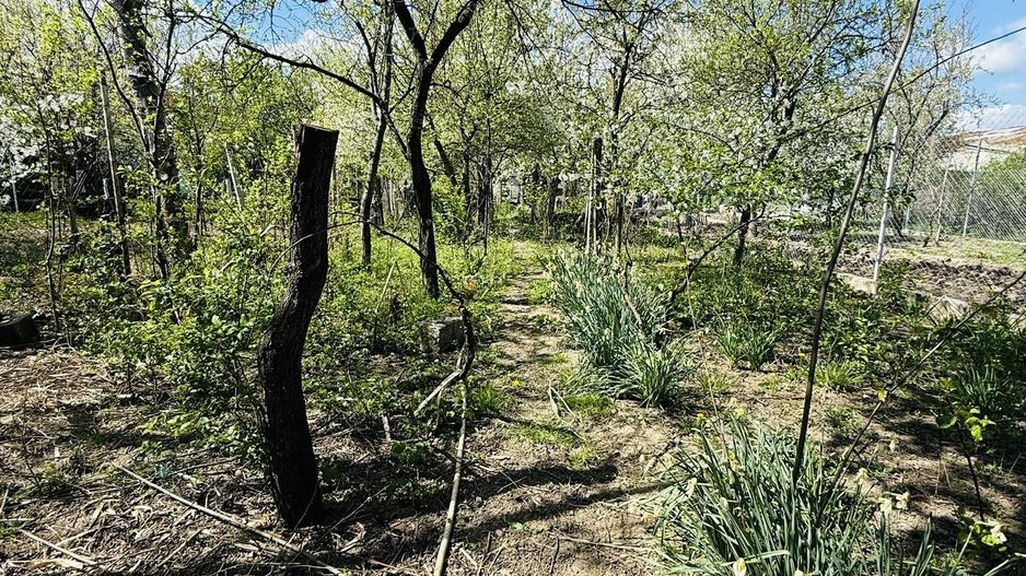 Ciarda Roșie | 2 case în curte | Teren 700 mp | Garaj | Toate utilitățile - Poză 7