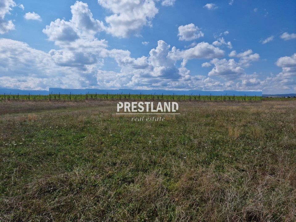 Teren de vânzare , zona Ind.de Vest-Sibiu!! - Poză 2