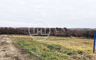 Teren intravilan de vânzare in Saldabagiu de Munte, Oradea - Poză 4