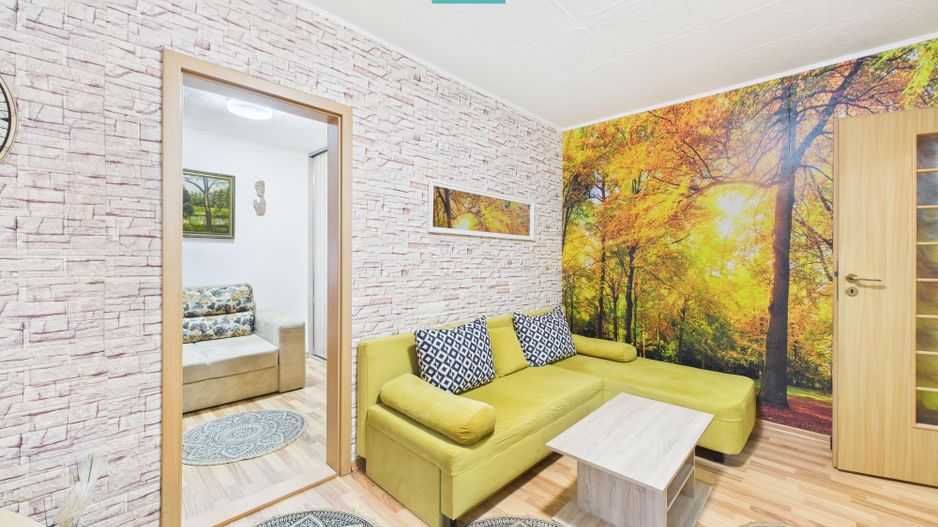 Apartament cu 2 camere la parter în Vlaicu - Poză 8