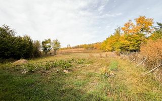 1.838 mp Construibil | Front 25,6 m | Zonă Rezidențială – Gădălin - Poză 5