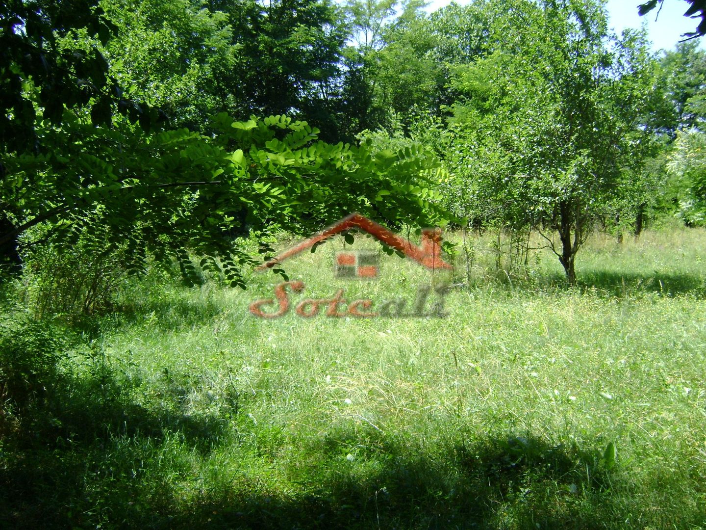 Teren de vanzare in Cornu 1585 mp - Negociabil - Poză 3