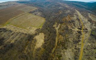 Teren pe deal în Miniș - Poză 3