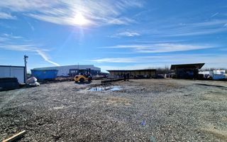 Teren / Platforma 1000mp de inchiriat | Mosnita Noua | Albina - Poză 2