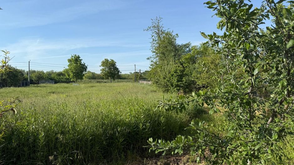 Teren de 3360 mp în exclusivitate, Sânmihaiu Român, vedere la Bega - Poză 2