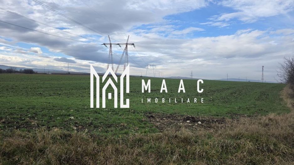 Teren intravilan | 29.300MP | Miercurea Sibiului - Poză 2